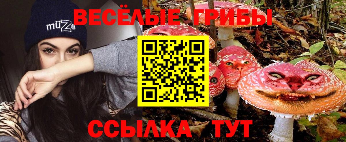 Галлюциногенные грибы MAGIC MUSHROOMS  цены   Вичуга  Вход с VPN 